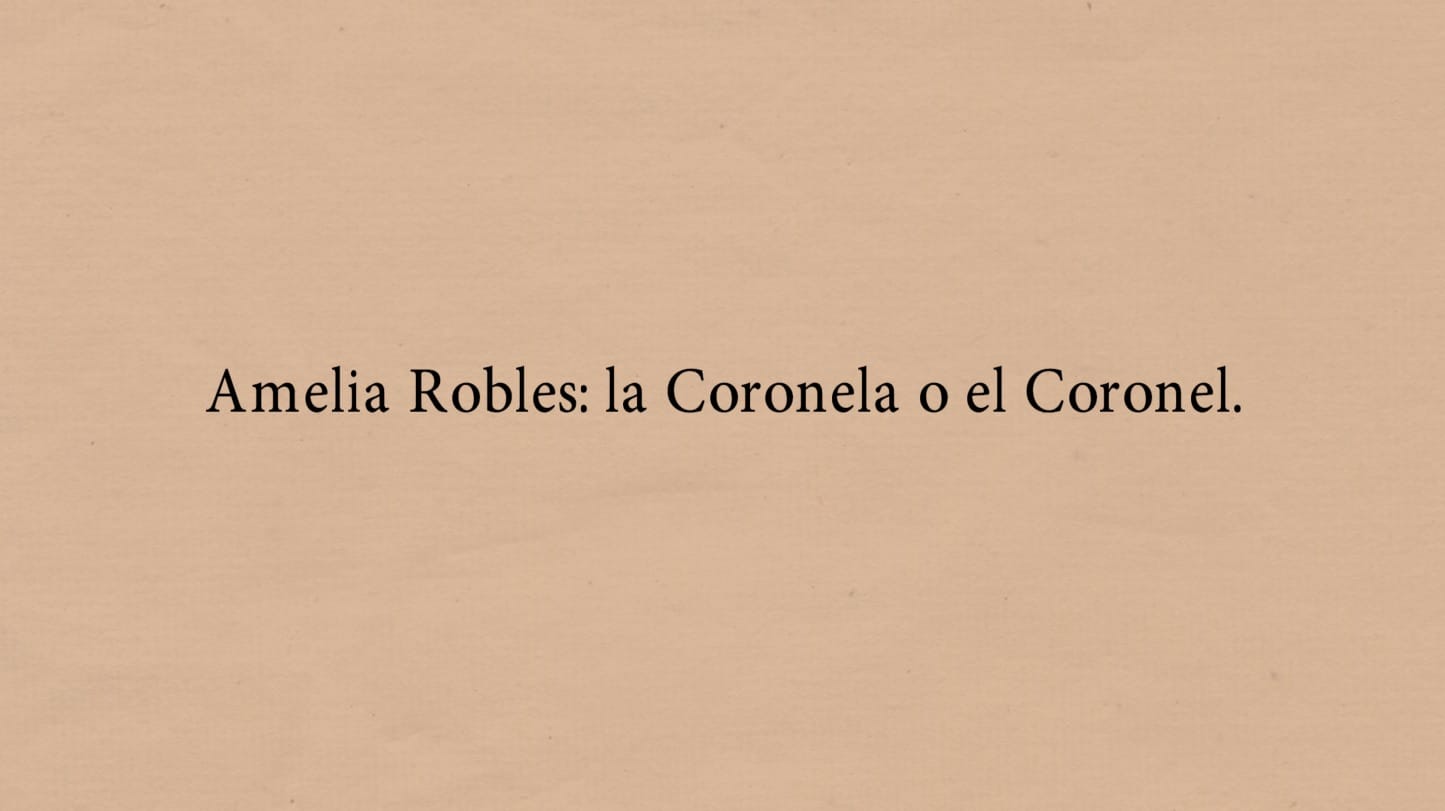 «Amelia Robles: la Coronela o el Coronel» por la Dra. Patricia Funes (UBA) – 31/05